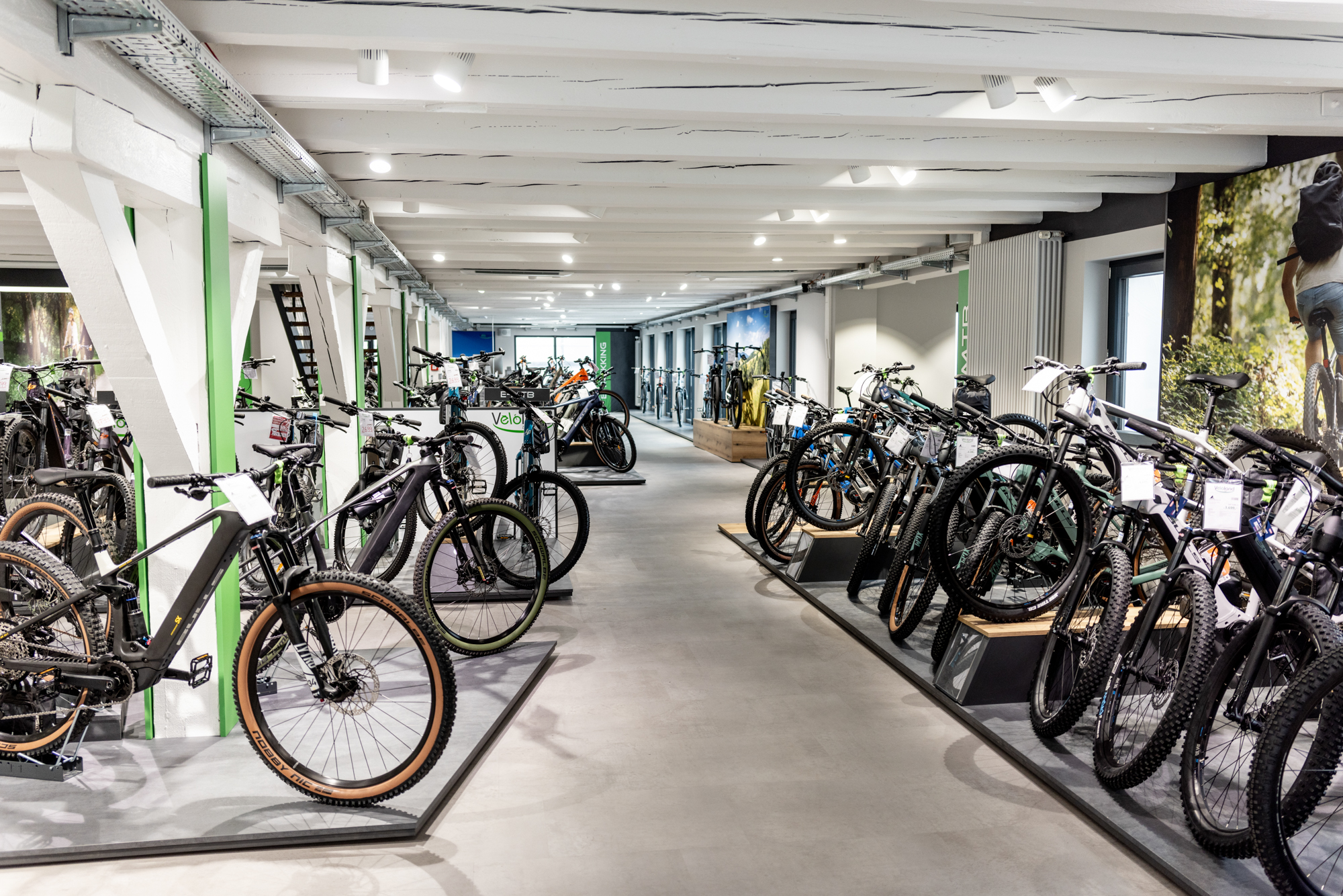 EBikes_Gesamt